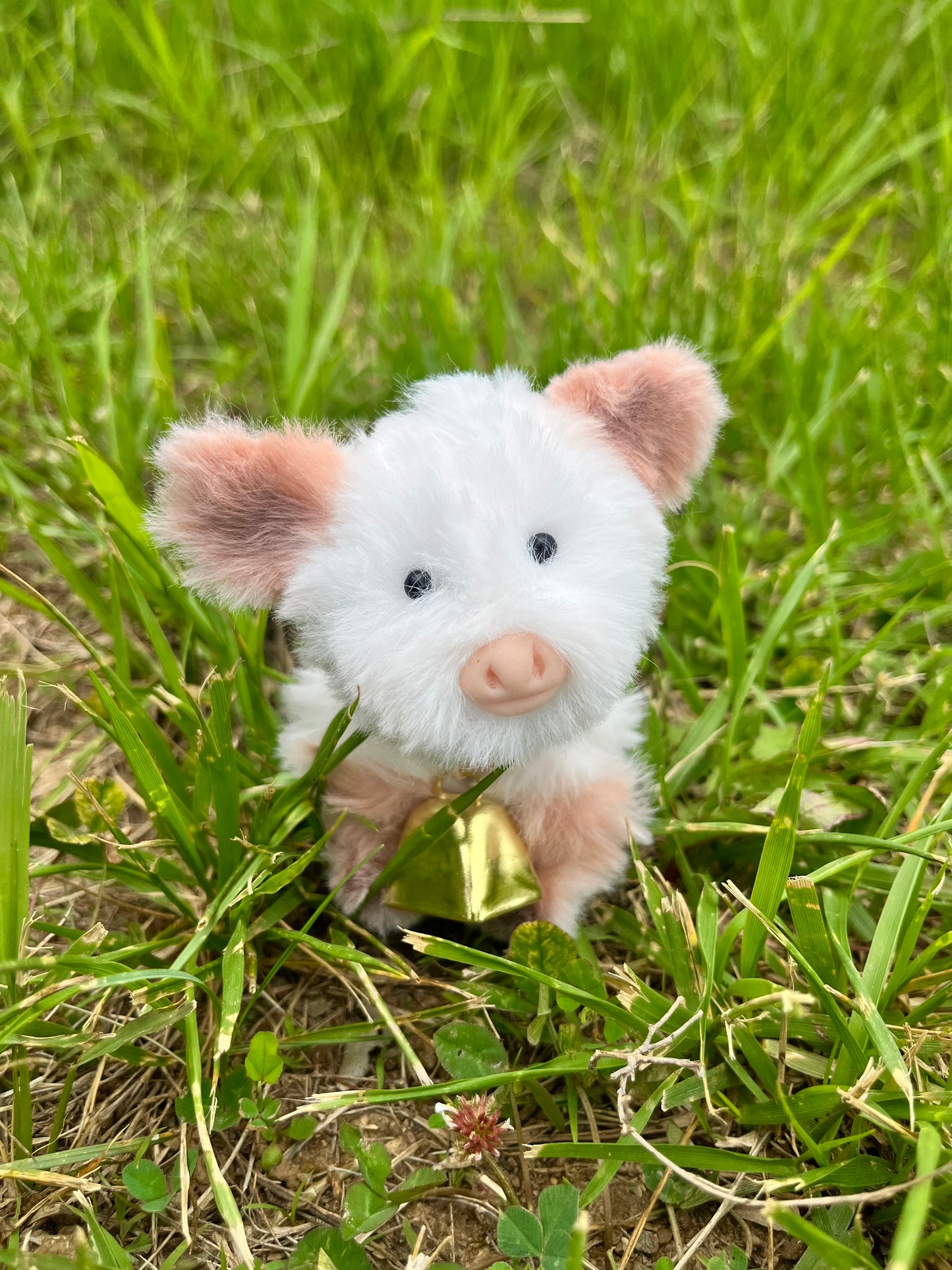 Mini Highland Cows, desktop toys, miniatures, collectibles, handmade cow, plush Highland cow, stuffed aninal Highland cow, cow lover gifts