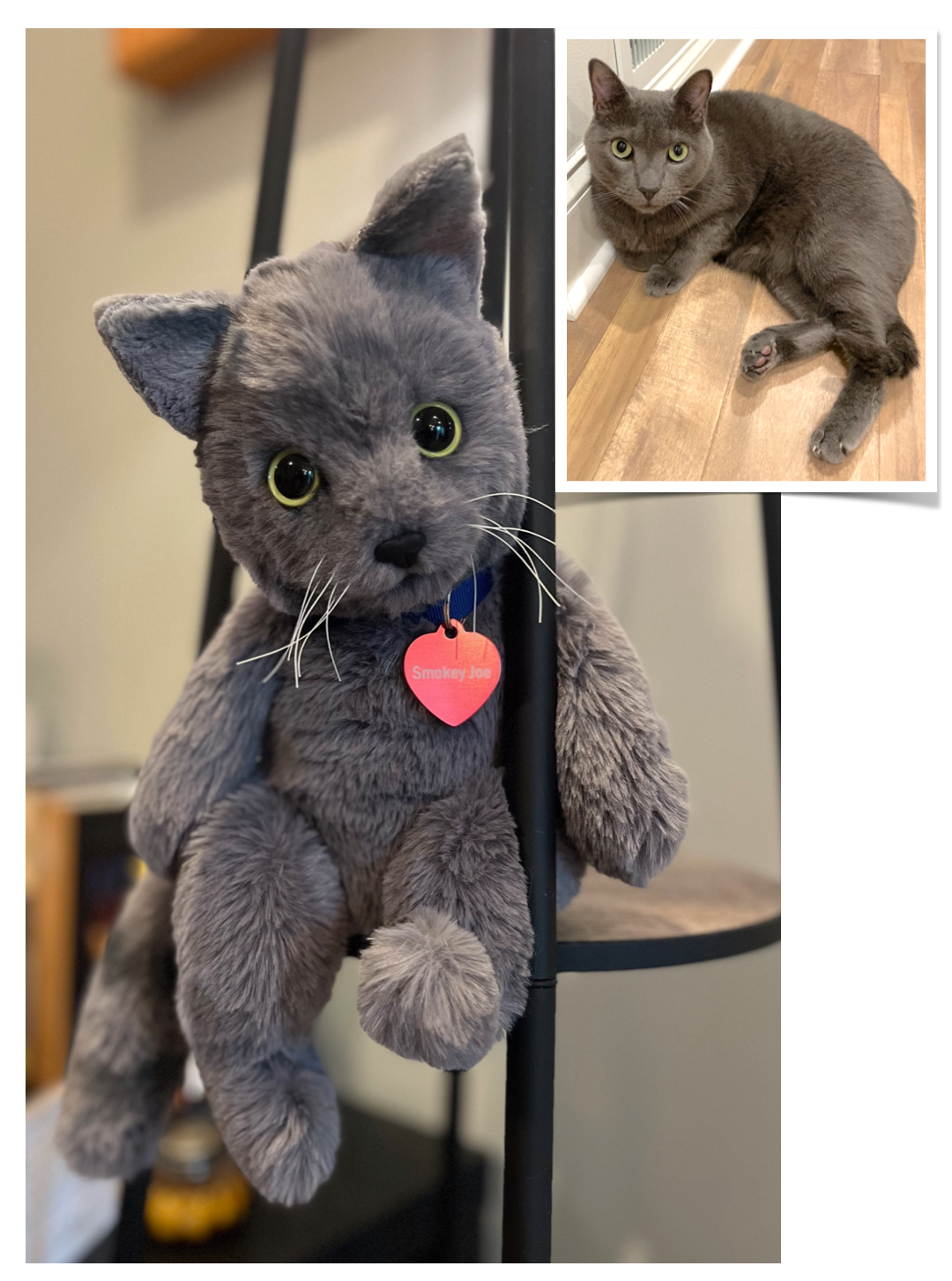British shorthair stuffed animal shop