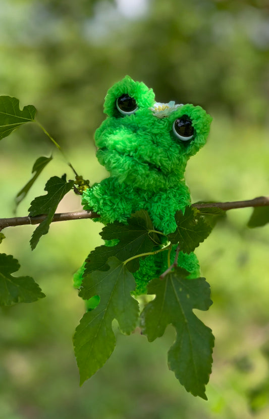 "Knut" the Früg