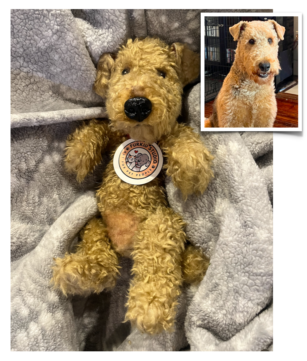 Custom Plush Dog Replica—12 to 15"