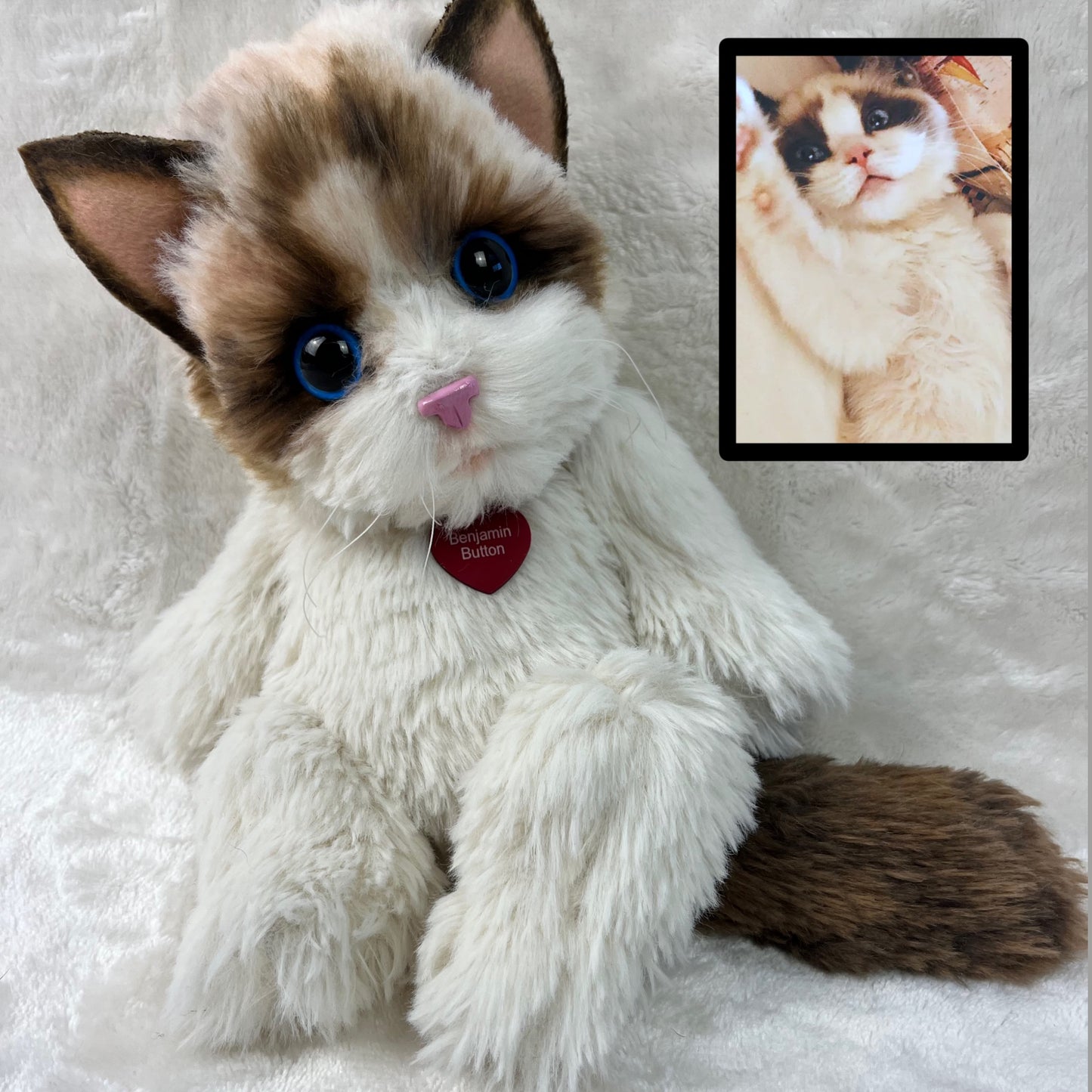 Custom Plush Cat Replica—12 to 15"