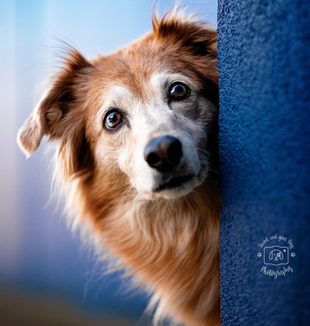 RUSH Balance for Stephanie:  Navi Custom Replica