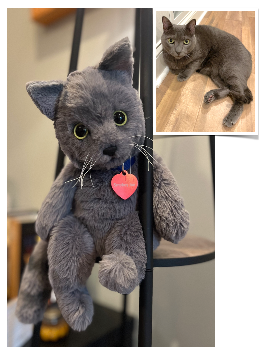 Custom Plush Cat Replica—12 to 15"