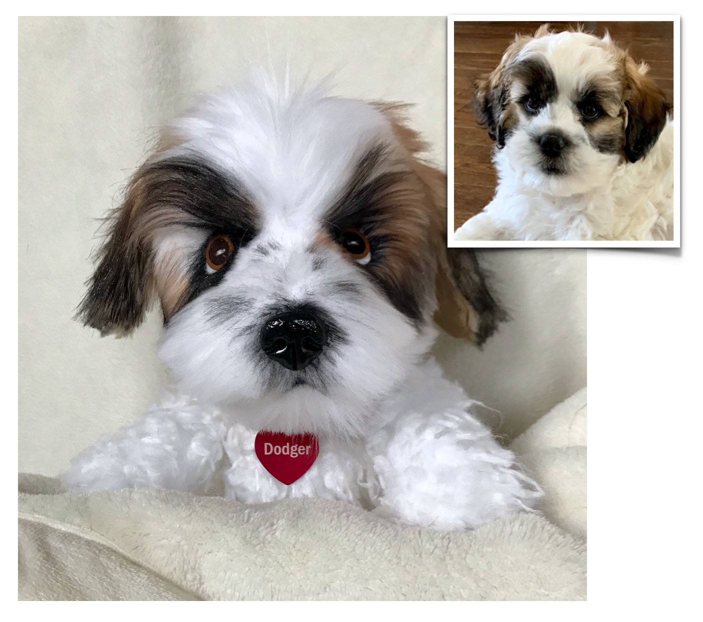 Custom Dog Plush, Dog Memorial Plush, Shih Tzu Plush, Maltese Plush, Poodle Plush, Bichon Frise Plush, keepsake pouch, voice recorder, plush with sound, pet replica with sound, custom plush pet with sound, memory pocket, pet memorial plush, pet keepsake plush