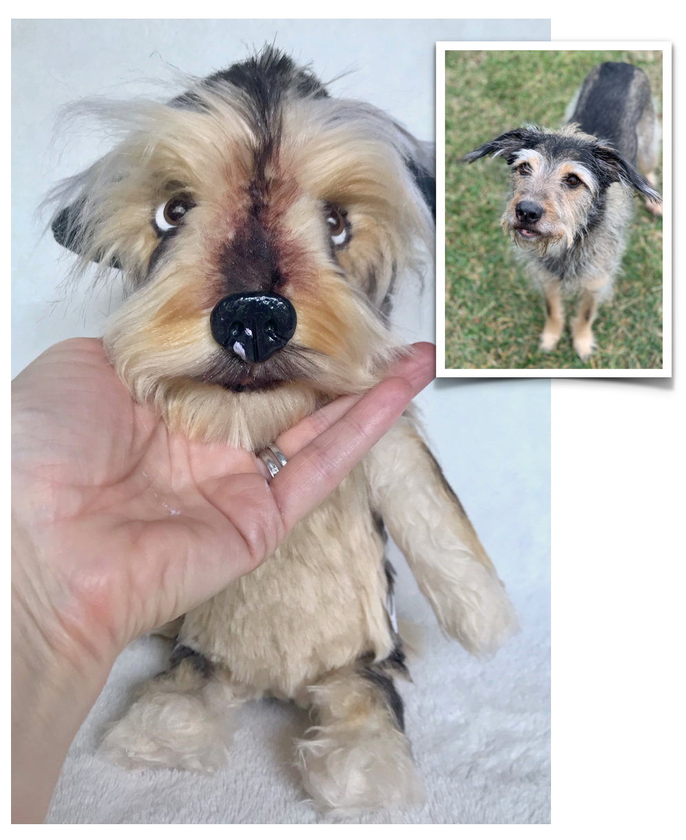 Custom Dog Plush, Terrier Plush, Dog Memorial Plush, Wirehaired Terrier Plush, Airedale Plush, Plush Mutt, Shelter Dog Plush, keepsake pouch, voice recorder, plush with sound, pet replica with sound, custom plush pet with sound, memory pocket, pet memorial plush, pet keepsake plush