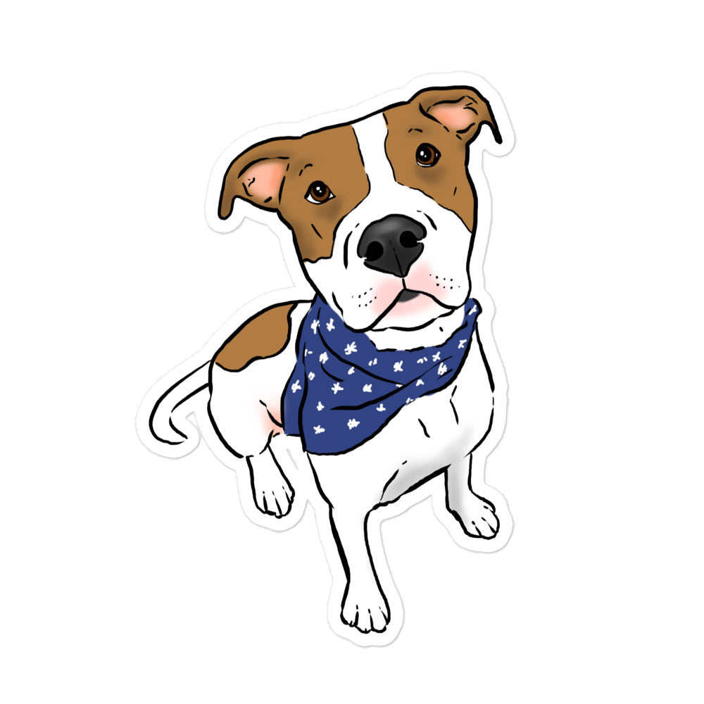 Brown and White Pitbull, Pitbull in Bandana, Pittie in Bandana