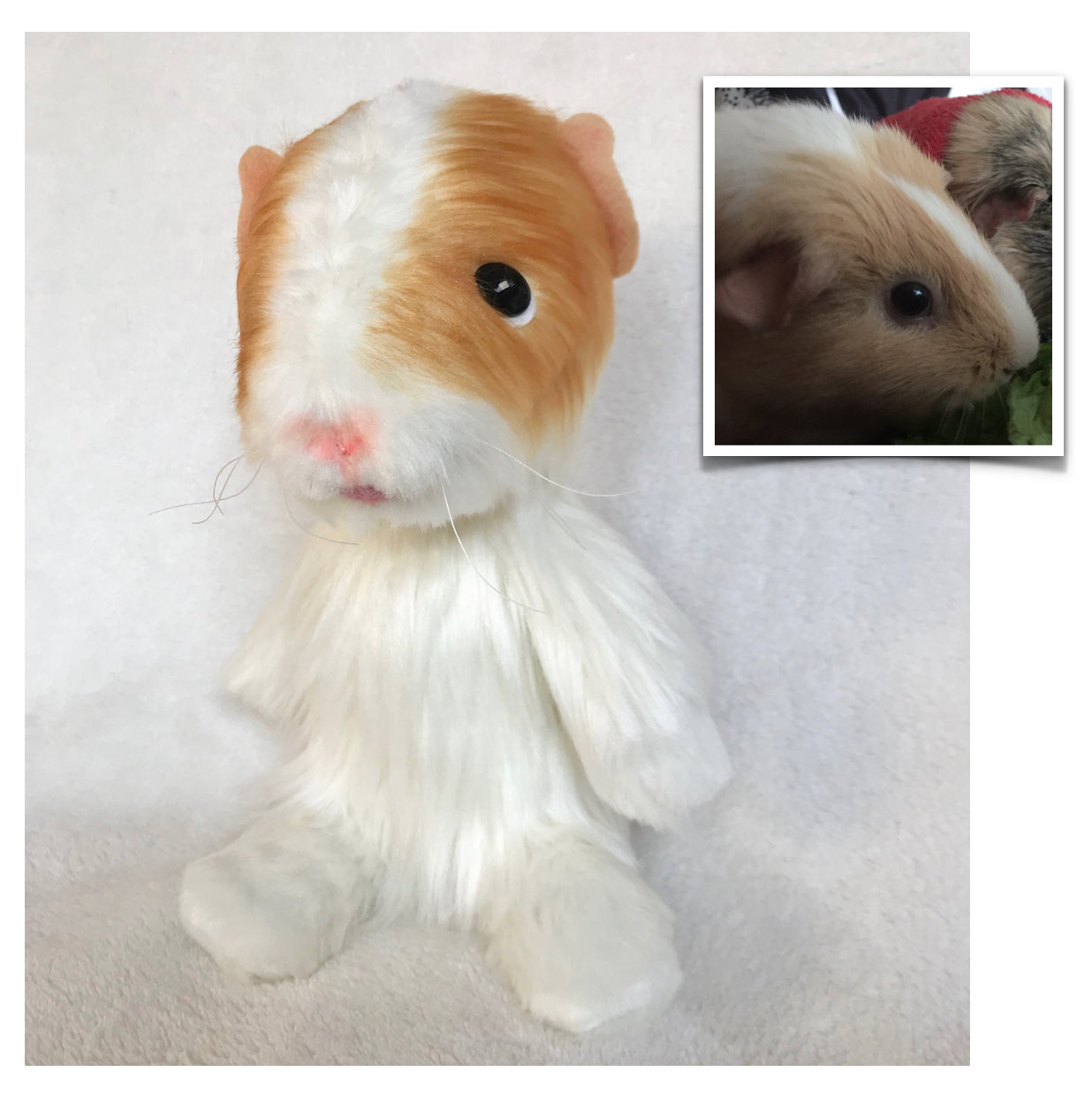 Custom Plush Pet, Custom Hamster, Custom Guinea Pig, custom plush from your photos, keepsake pouch, voice recorder, plush with sound, pet replica with sound, custom plush pet with sound, memory pocket, pet memorial plush, pet keepsake plush