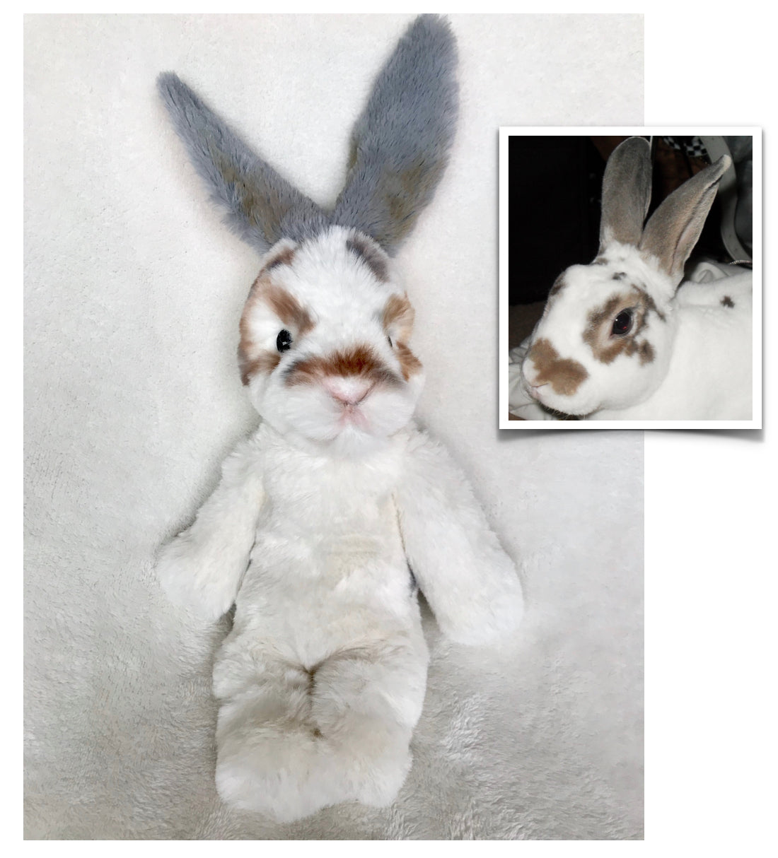 Custom Plush Pet, Custom Bunny, custom plush from your photos, keepsake pouch, voice recorder, plush with sound, pet replica with sound, custom plush pet with sound, memory pocket, pet memorial plush, pet keepsake plush