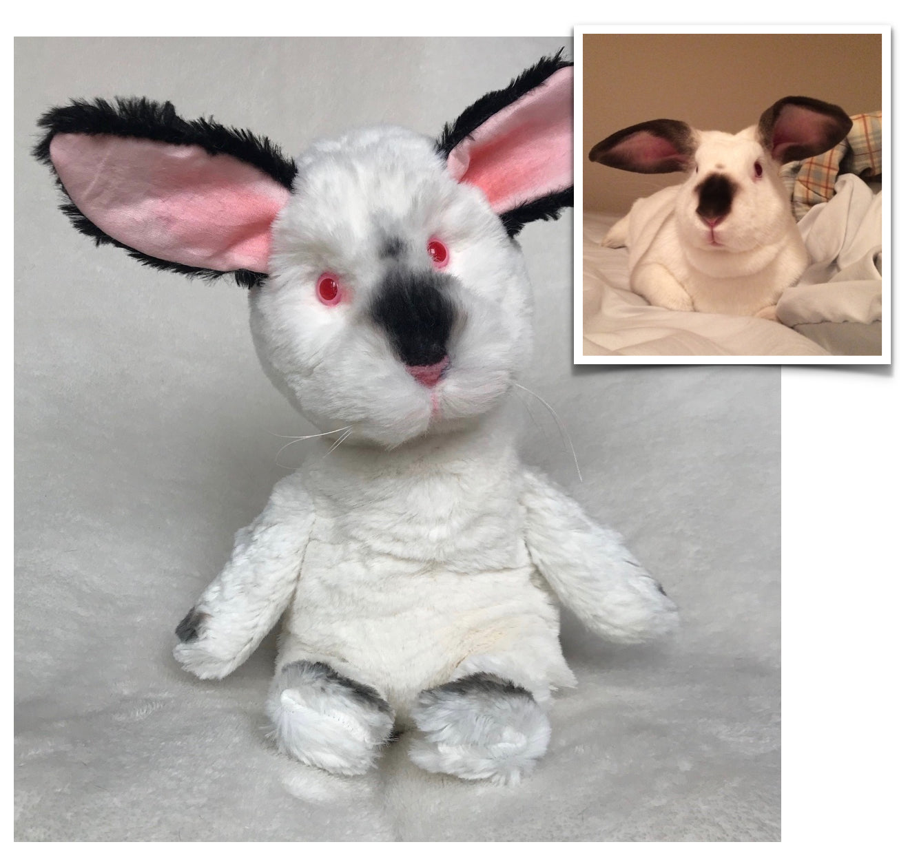 Custom Plush Pet, Custom Bunny, custom plush from your photos, keepsake pouch, voice recorder, plush with sound, pet replica with sound, custom plush pet with sound, memory pocket, pet memorial plush, pet keepsake plush